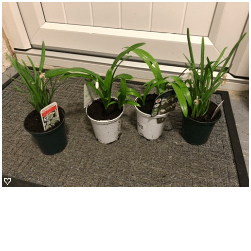 This image has an empty alt attribute; its file name is image-4.png