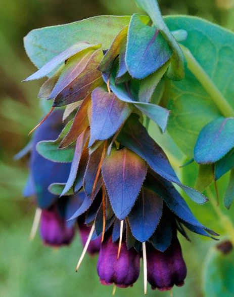 This image has an empty alt attribute; its file name is image.png